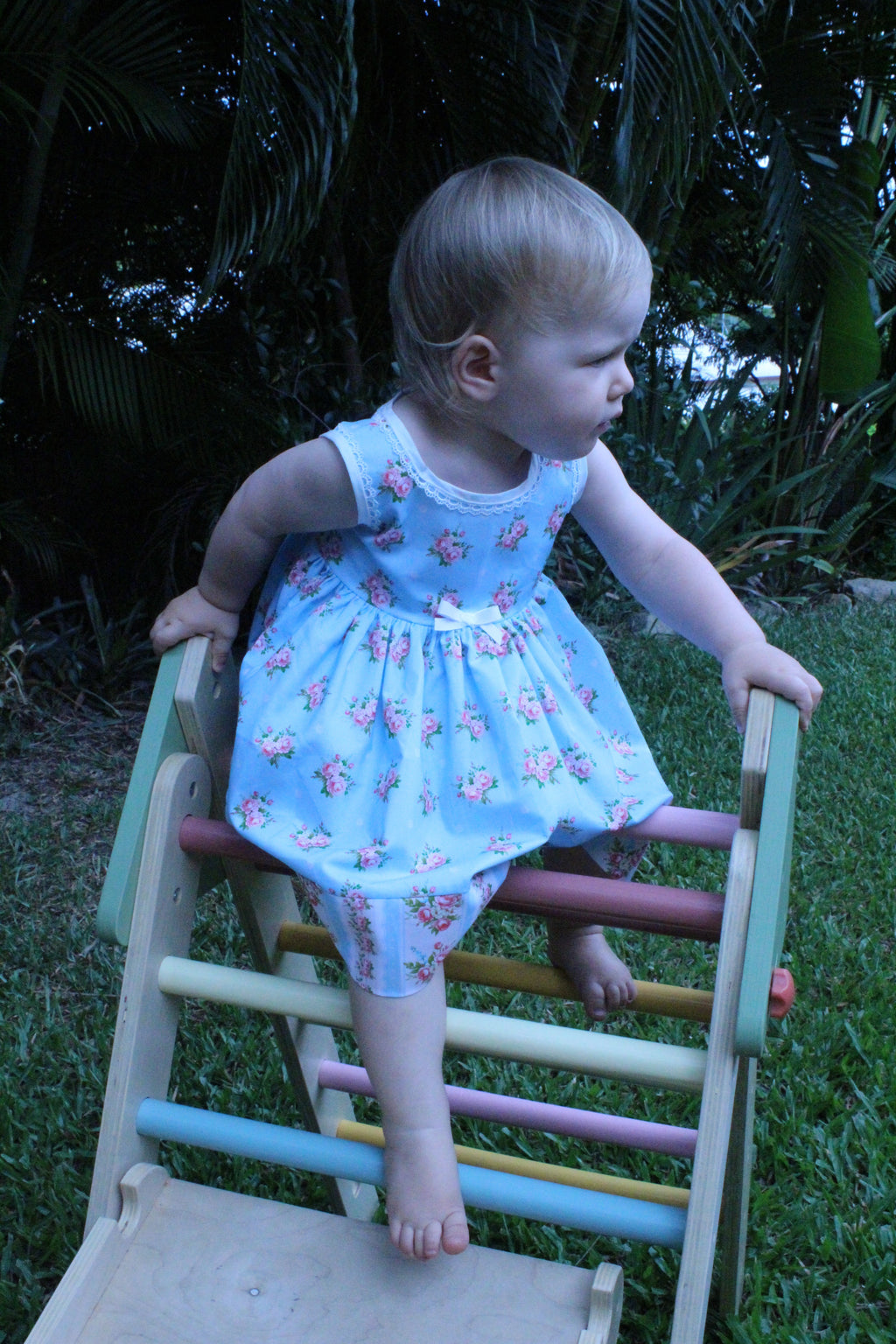 Girls Dress Blue Floral Print with Border - Isabella